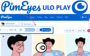 What is Pimeyes Website and its uses